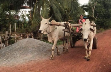 Bénévolat international de service au Cambodge