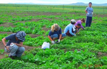 Stagiaire agricole en mission à l'international 