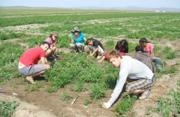 Bénévole en mission de reboisement en Mongolie