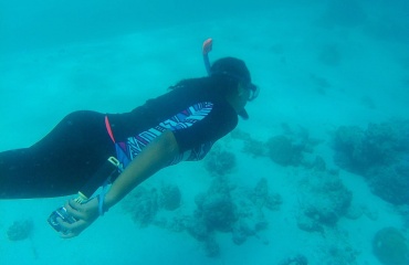 Plongée sous-marine aux Maldives