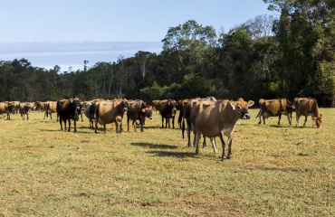 Stage dans l'agriculture