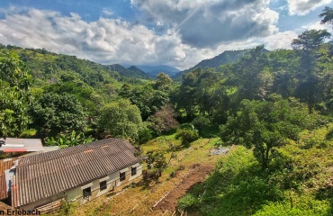 Ecovolontariat en Colombie