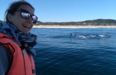 baleine-afrique-visiter-decouverte
