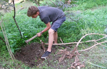 Volontariat agricole en Amérique du sud