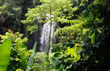 Protection de l'environnement 