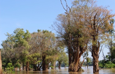 Volontaire dans la protection de la nature
