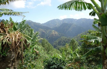 stage à l'étranger