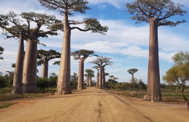 Voyage à Madagascar