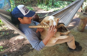 Volontariat international en service animalier 