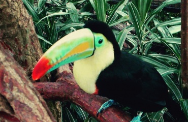 Voyager autrement au Costa Rica 
