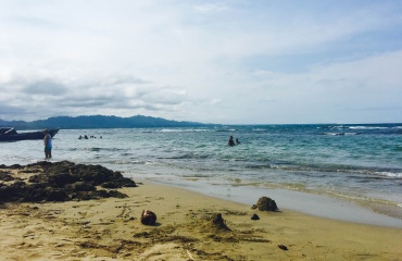 Découverte de la nature et des plages du Costa Rica 