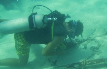 Stage de biologie marine au Mexique