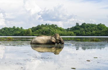 Voyage humanitaire au Laos