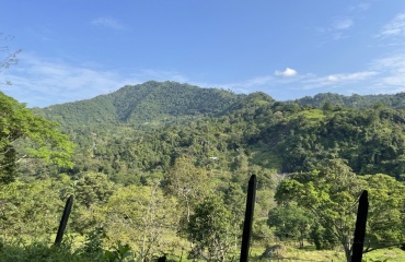 Stage sanitaire en Colombie