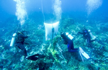 Mission de protections des récifs coraliens 