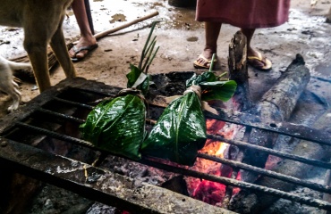 action-humanitaire-foret-amazonienne 