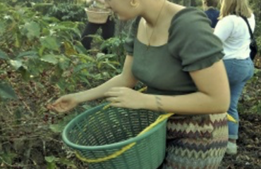 Bénévole dans une ferme agricole au Guatemala