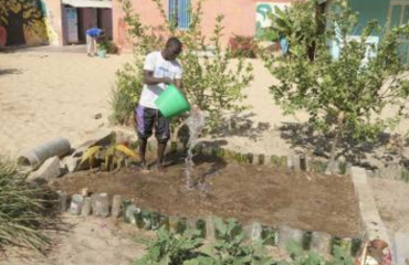 Permaculture en Afrique