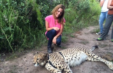benevolat-conservation-de-la-faune-africaine