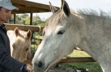 mission-humanitaire-avec-les-chevaux-international