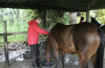 sejour-immersion-totale-volontariat-et-cours-de-langue