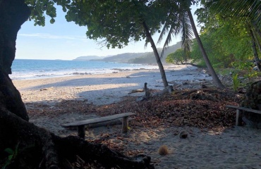 Plage isolée au Costa Rica abritant la faune endémique 