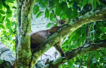 Habitat naturel protégé - Mission humanitaire au Costa Rica