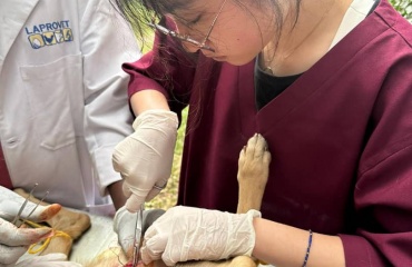 Étudiante vétérinaire participant à une mission de sauvetage des animaux en Tanzanie