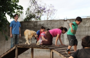 Des enfants et un chien traversant un parcours d'obstacles en bois, encadrés par des bénévoles dans le cadre d'une activité de thérapie canine Globalong.