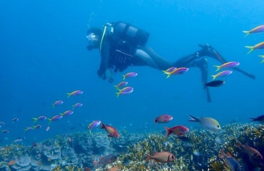Plongeur explorant un récif corallien coloré entouré de poissons tropicaux dans des eaux claires.