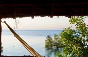 Hamac suspendu avec vue sur la mer calme et des mangroves, dans un cadre naturel depuis une cabane.