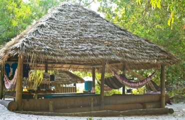 Espace d’hébergement rustique en bord de plage avec des hamacs et une cabane en toit de chaume.