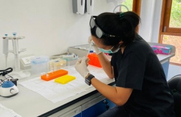 Clinique mobile vétérinaire