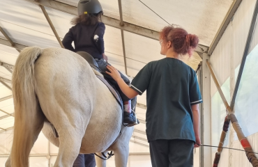 Stage avec les chevaux