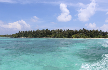 Récifs coralliens en péril aux Maldives