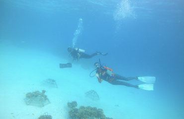 Etudiants en stage dans une ONG environnementale aux Maldives