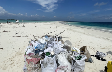 Stagiaire développement durable aux Maldives 