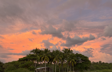 Bénévolat et stage de protection de l’environnement au Nicaragua ! 