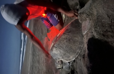 Stagiaire en mission au Nicaragua 