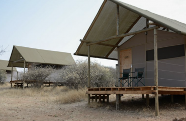 Tentes aménagées pour l’hébergement des volontaires Globalong en Namibie, offrant un cadre confortable et authentique au cœur de la savane.