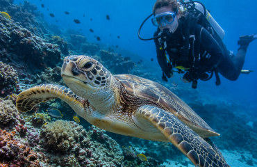 Plongeuse collectant des données sur un récif à Sodwana Bay en Afrique du Sud