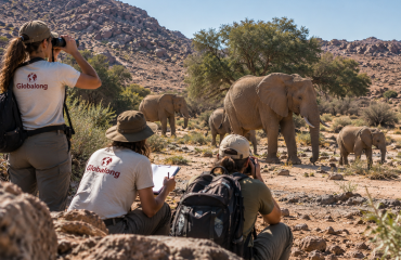 Volontaires observant et documentant un troupeau d’éléphants dans le Damaraland en Namibie