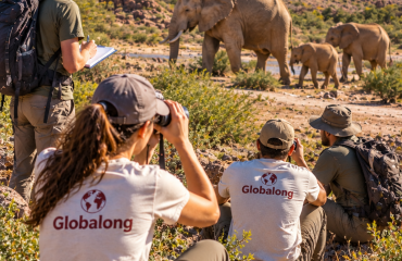 Volontaires observant des éléphants sauvages lors d’un projet de conservation en Namibie
