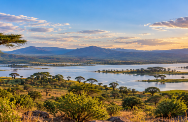 Observation de la faune sauvage dans la réserve de Soysambu au Kenya