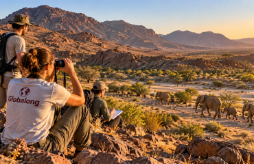 Volontaires observant un troupeau d’éléphants sauvages dans le désert namibien