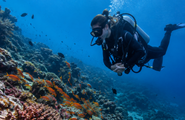 Plongeuse explorant un récif dans le cadre d'un projet de conservation marine en Afrique du Sud