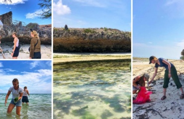 Projet de protection des tortues marines à Zanzibar