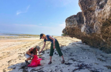 Tortues marines et biodiversité dans les eaux de Zanzibar