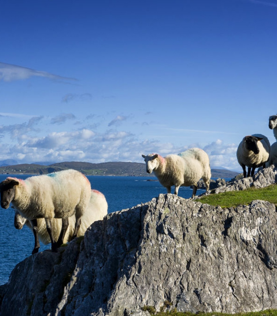 Voyage d'été en Irlande