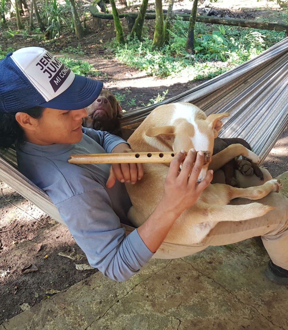 Voyage dans une réserve animalière en Amérique Latine 